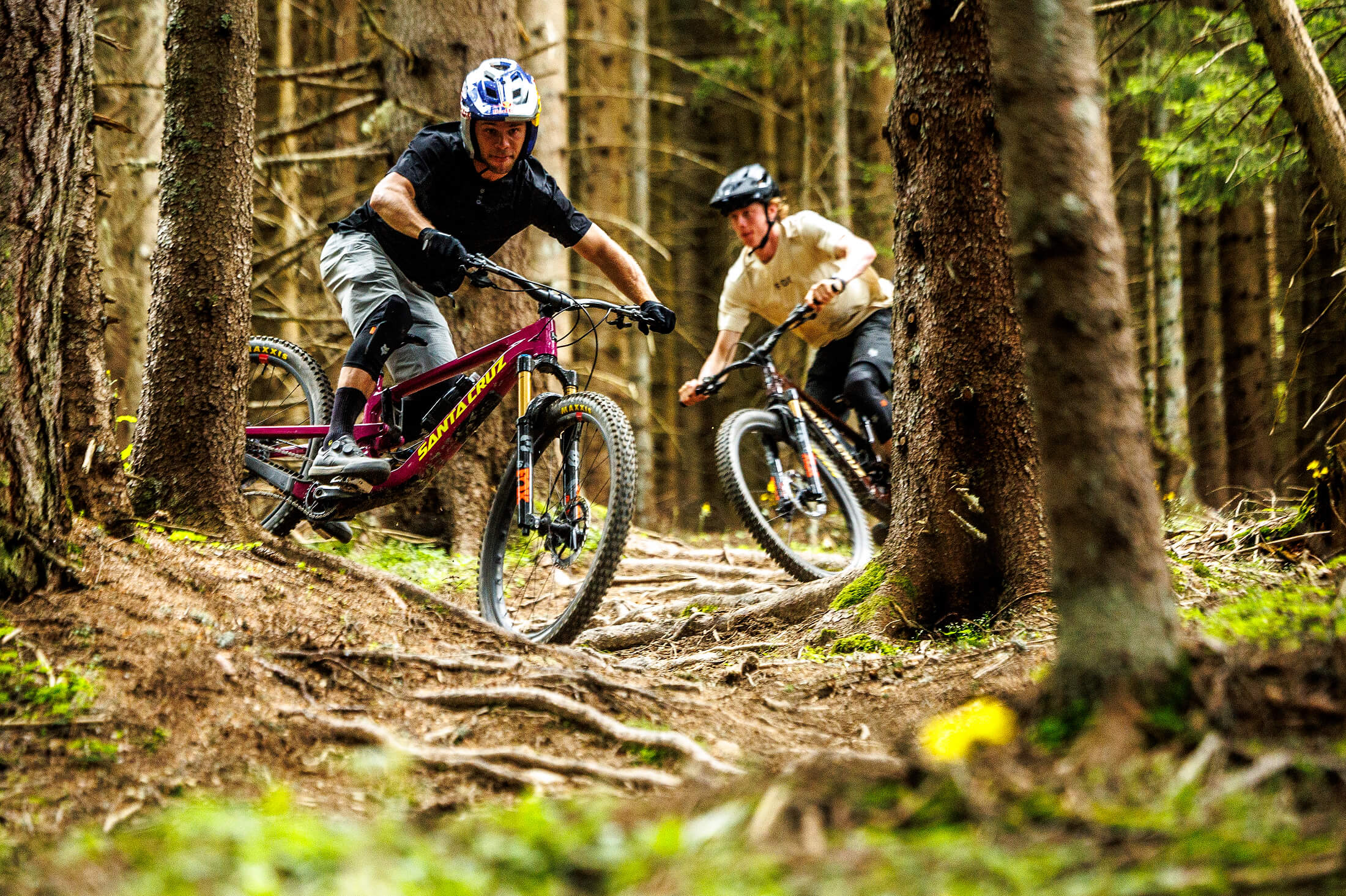 Santa Cruz Bronson