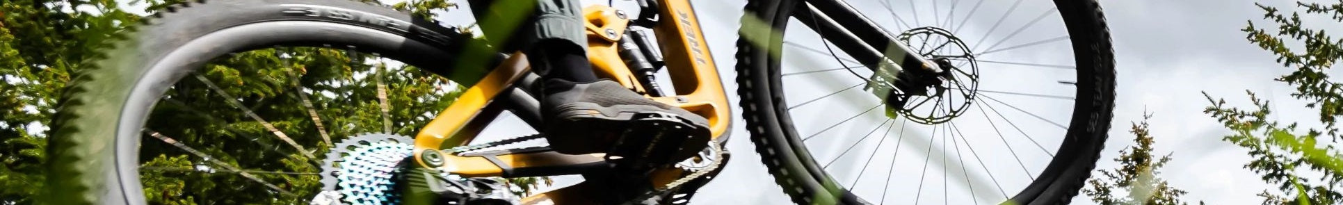 Trek E-Bike