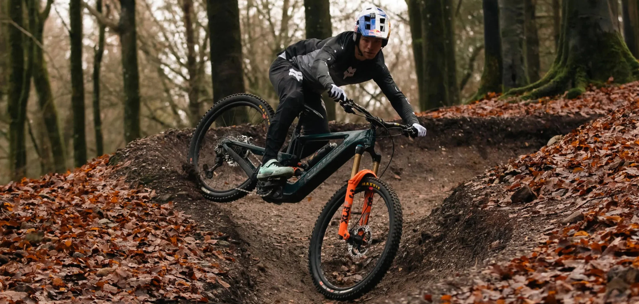 SANTA CRUZ Bikes Shop | Megatower | Nomad| Hightower | V10 | 5010