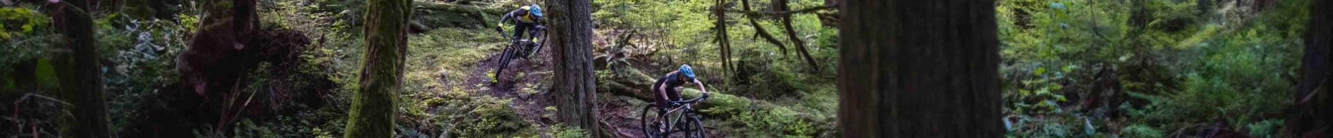 Specialized Epic Hardtail
