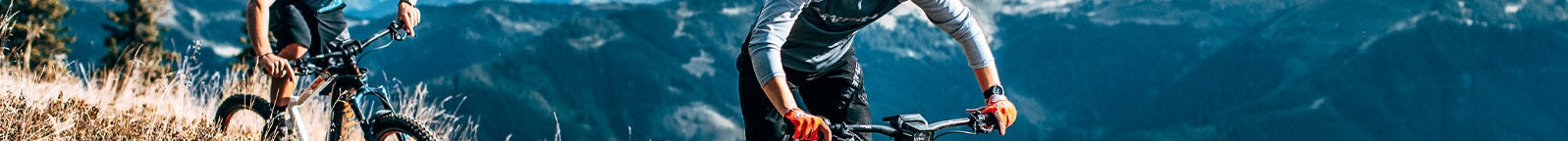 Haibike HardNine
