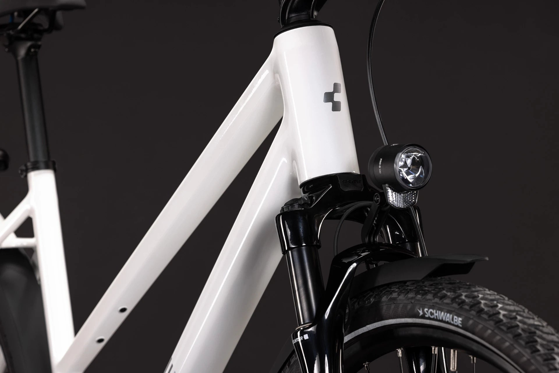 Cube Kathmandu Pro metallicwhite´n´chrome Trapeze 2027