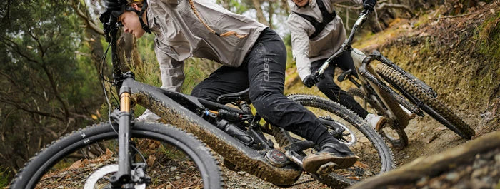Herbstgold jetzt in den Herbst starten. Bikes und E-Bikes kaufen