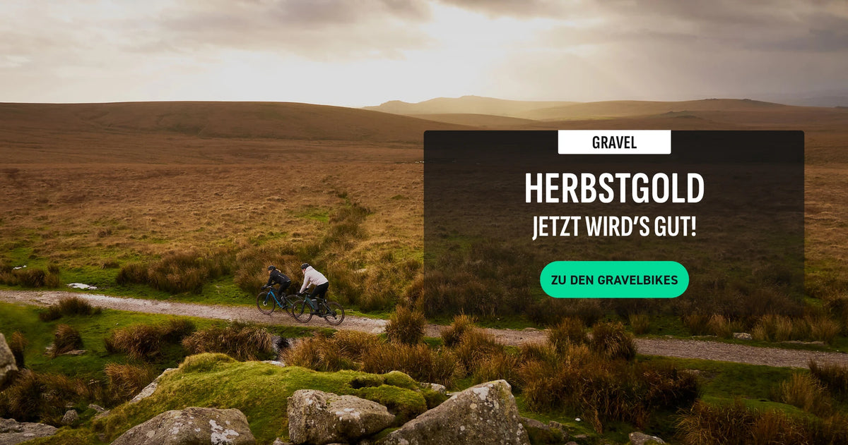 Herbstgold Jetzt Gravelbike kaufen