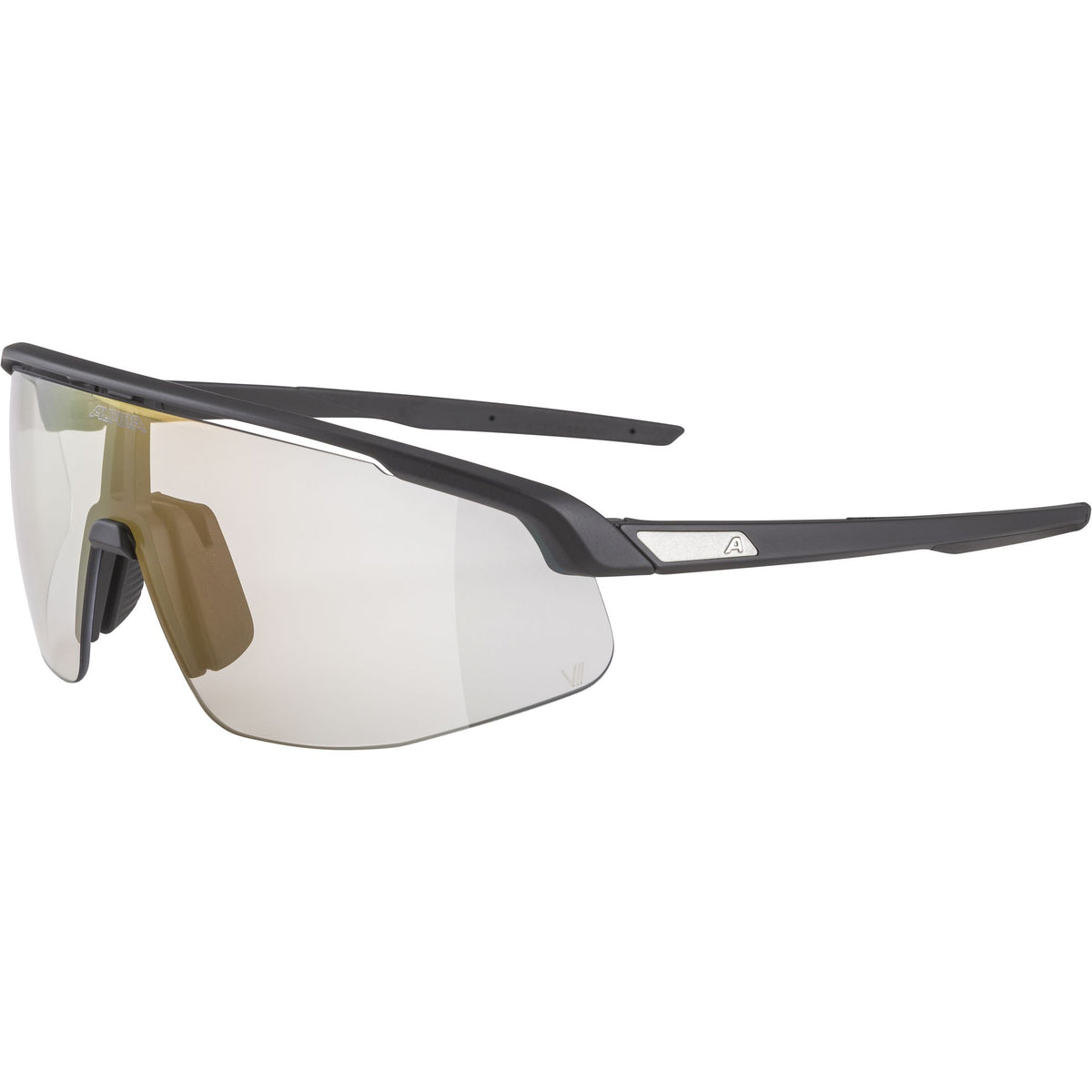Alpina Turbo Pro V - Liquid-Life #Wähle Deine Farbe_black/clear grey/red