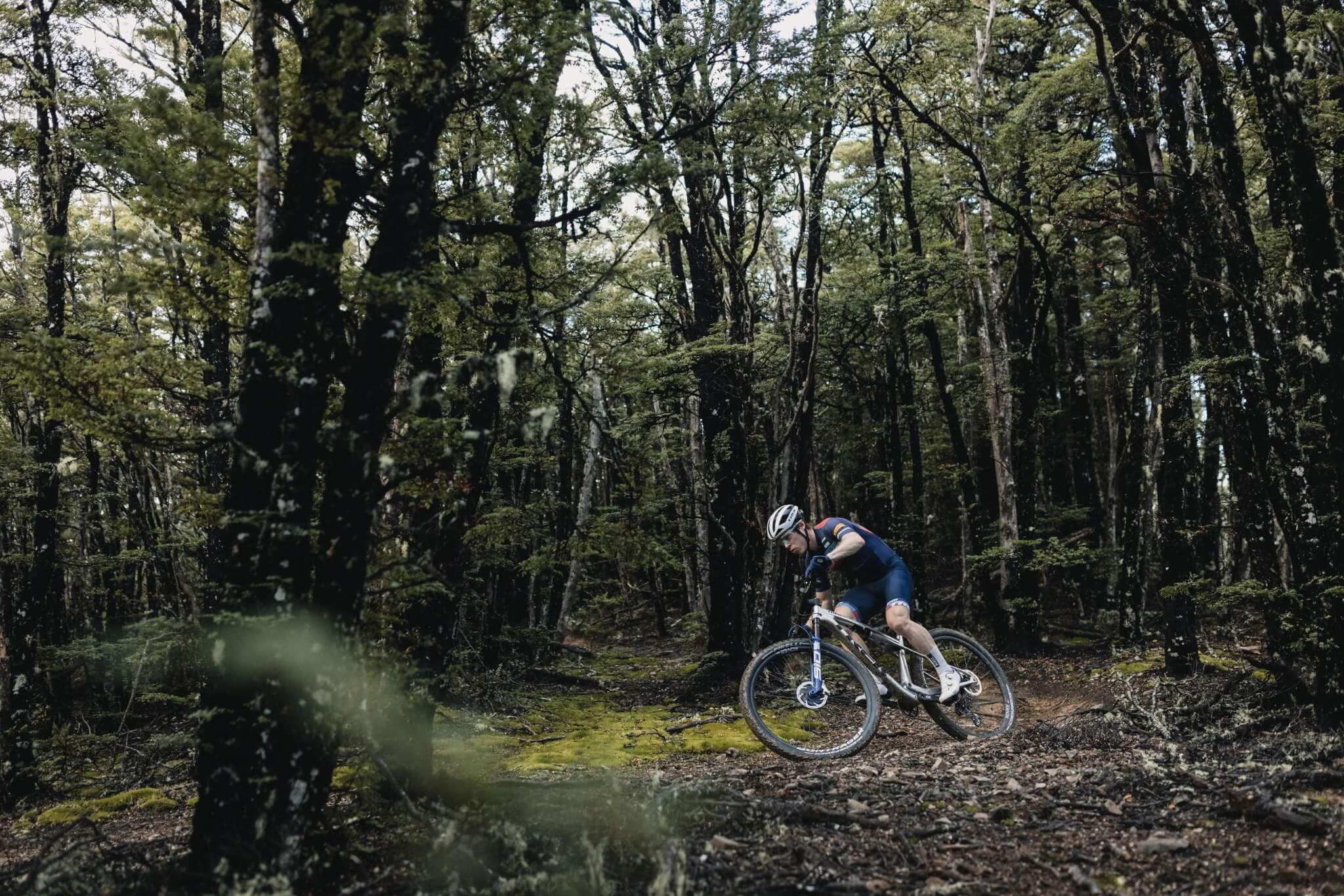 Radfahrer auf Trek Supercaliber Mountainbike im Wald auf einem Trail.