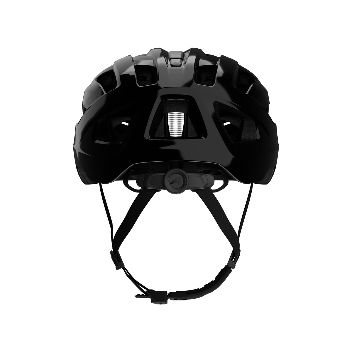 Alpina Panoma 4 Classic - Liquid-Life #Wähle Deine Farbe_black gloss
