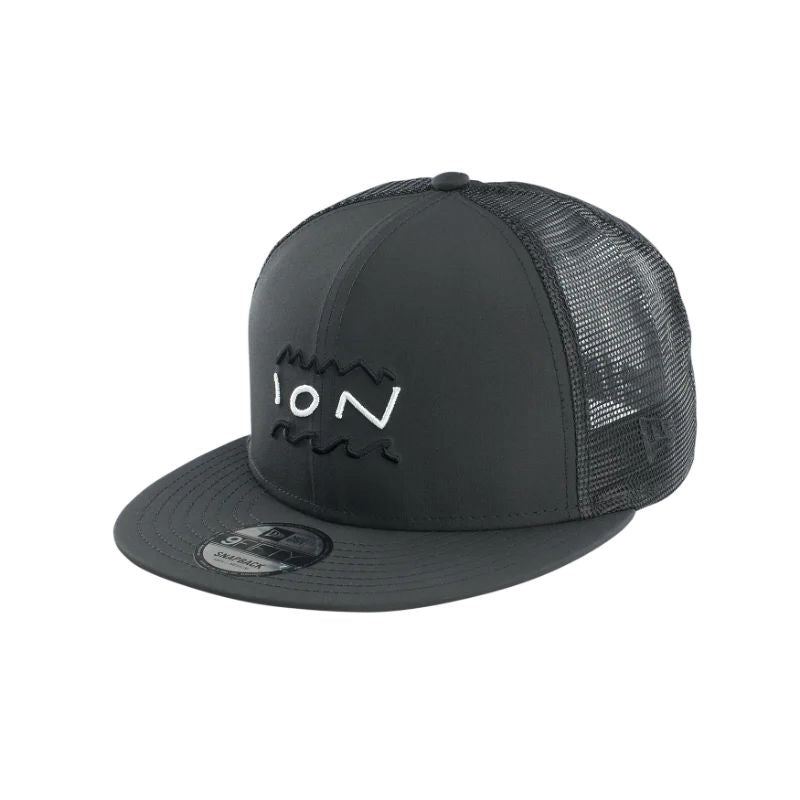 ION Cap Statement