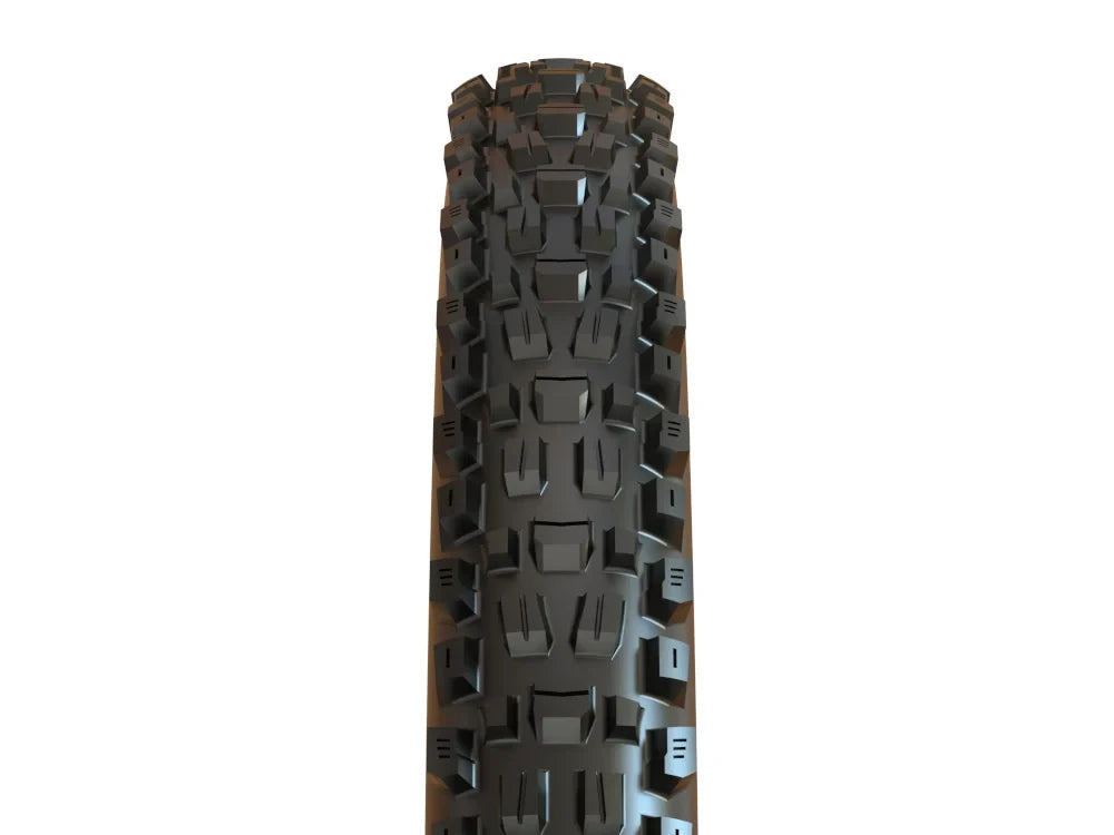 Maxxis Assegai 3C MaxxTerra TR EXO+ schwarz - Liquid-Life