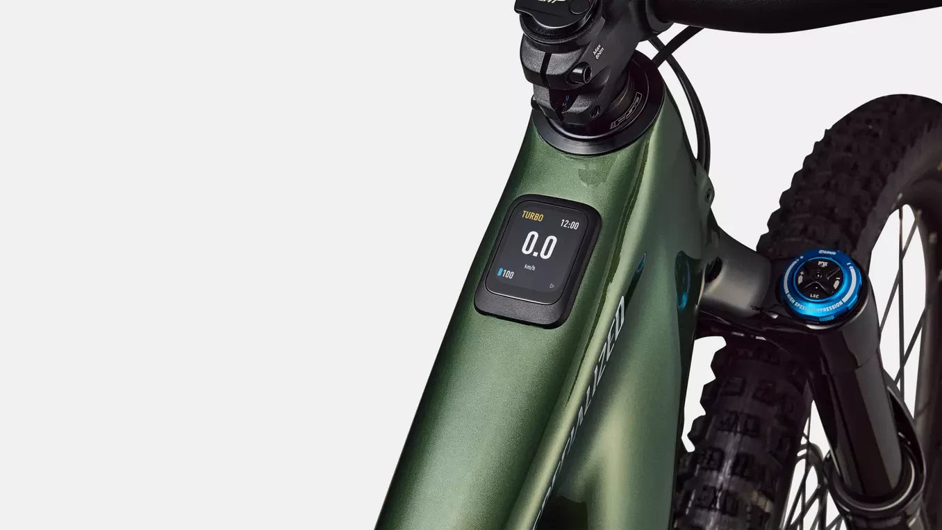 Specialized Levo 4 Expert Carbon CYPRESS METALLIC/SILVER DUST 2025