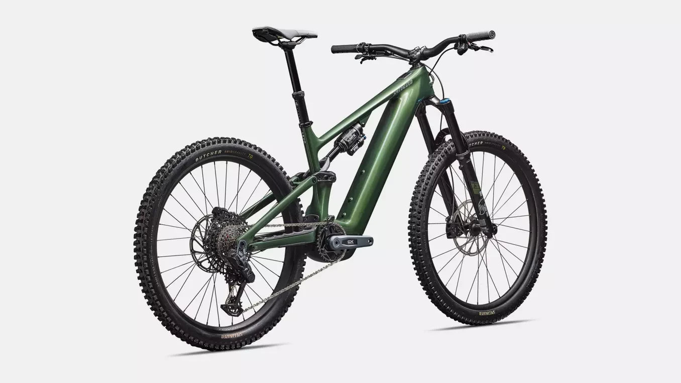 Specialized Levo 4 Expert Carbon CYPRESS METALLIC/SILVER DUST 2025