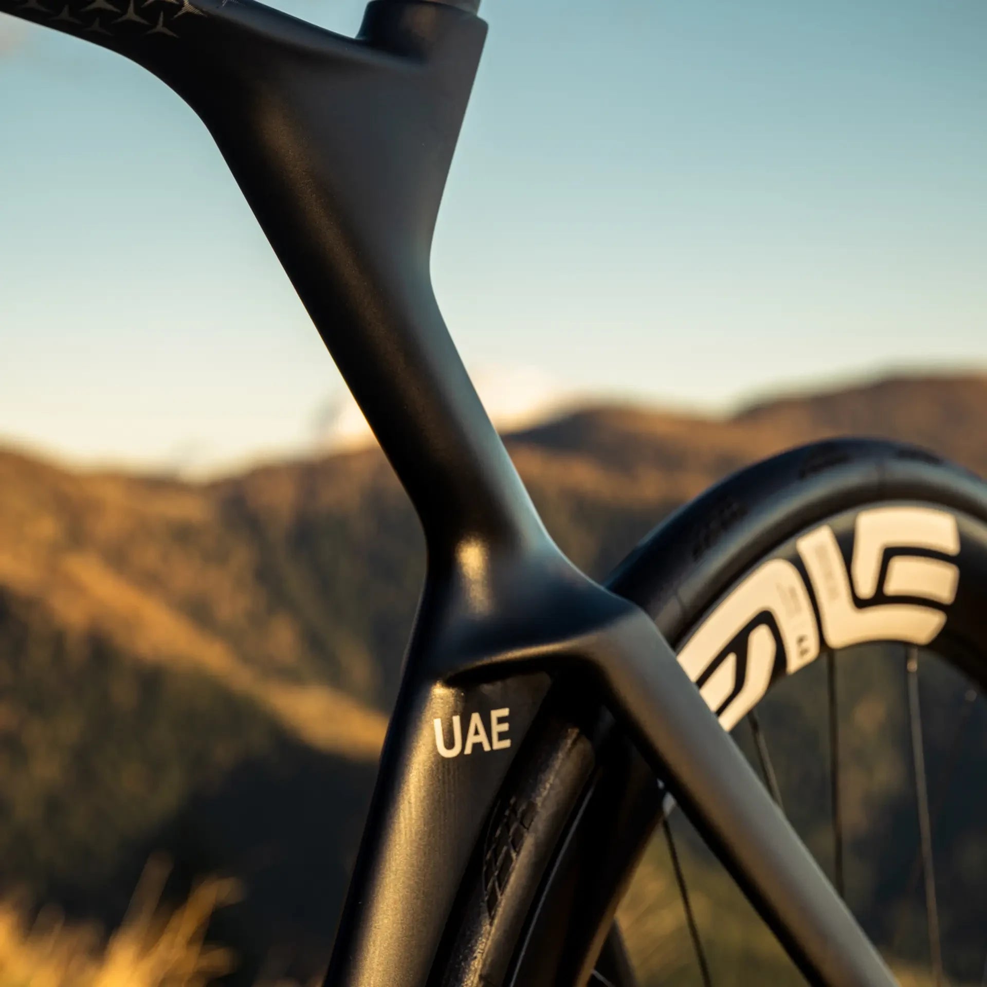 Colnago Y1RS Disc Sram Red AXS E1 black/white 2026