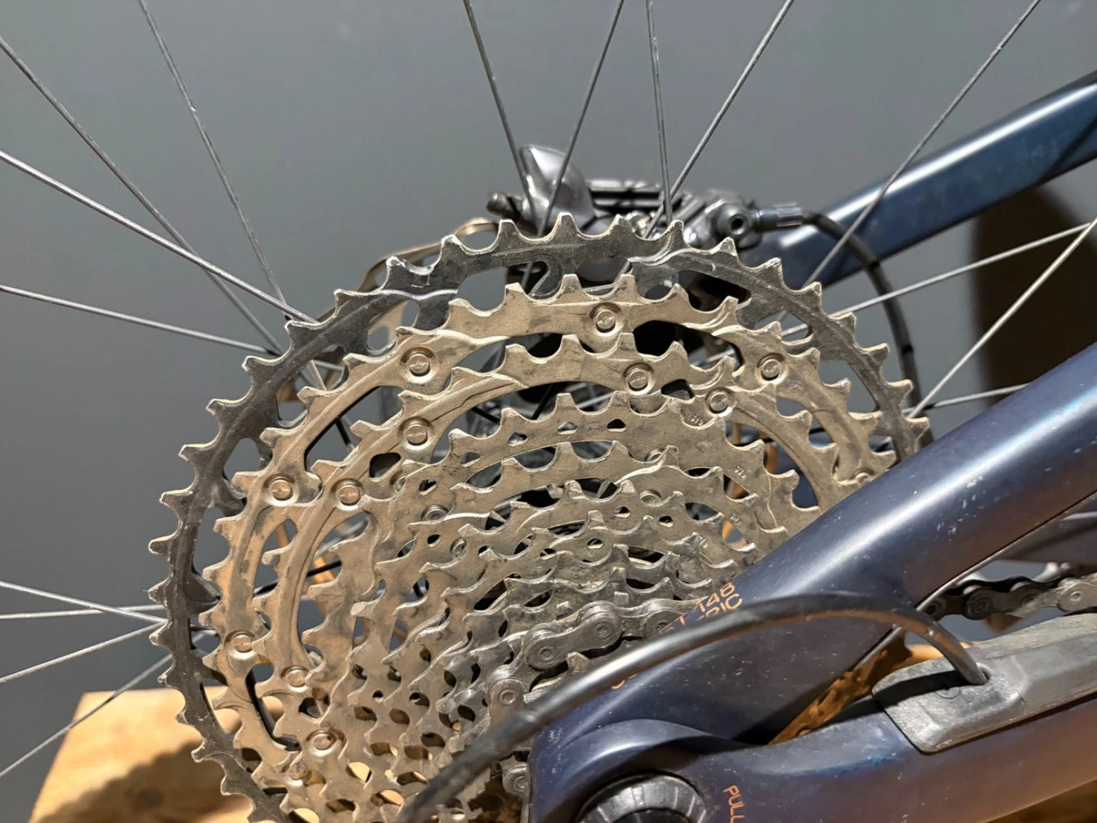 Orbea Rise M10 Coal Blue - Red Gold | Gebrauchtrad | M - Liquid-Life