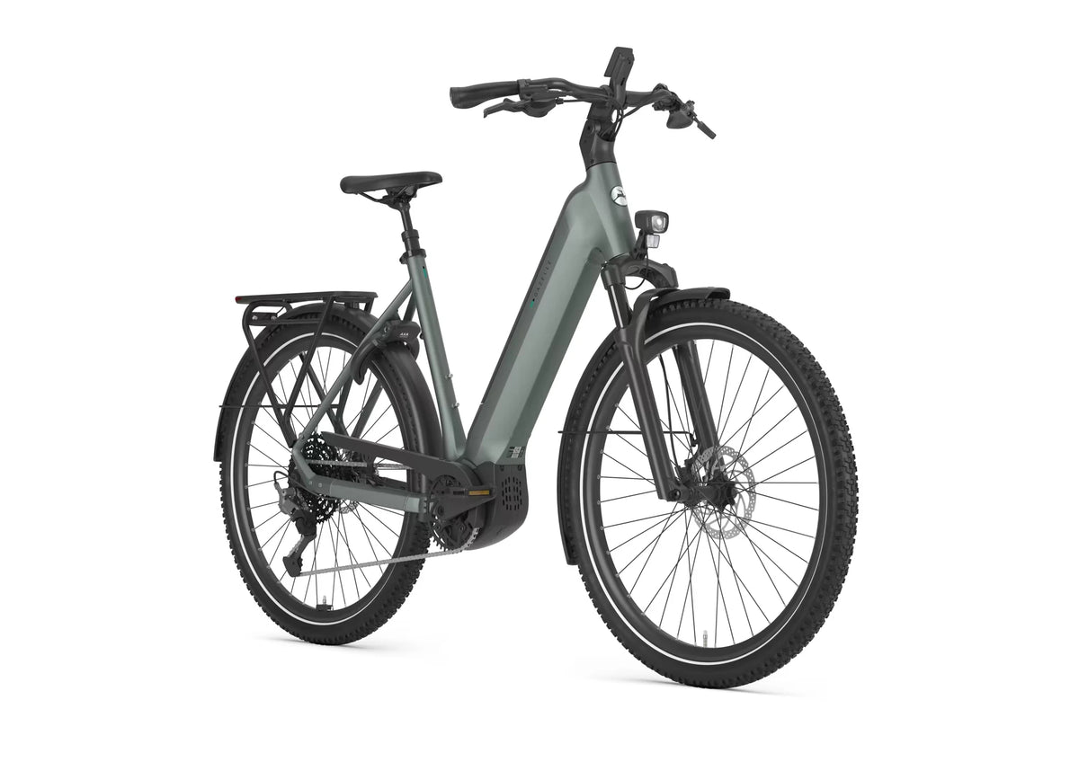 Gazelle Ultimate T11 800 Wh twilight green EE 2026