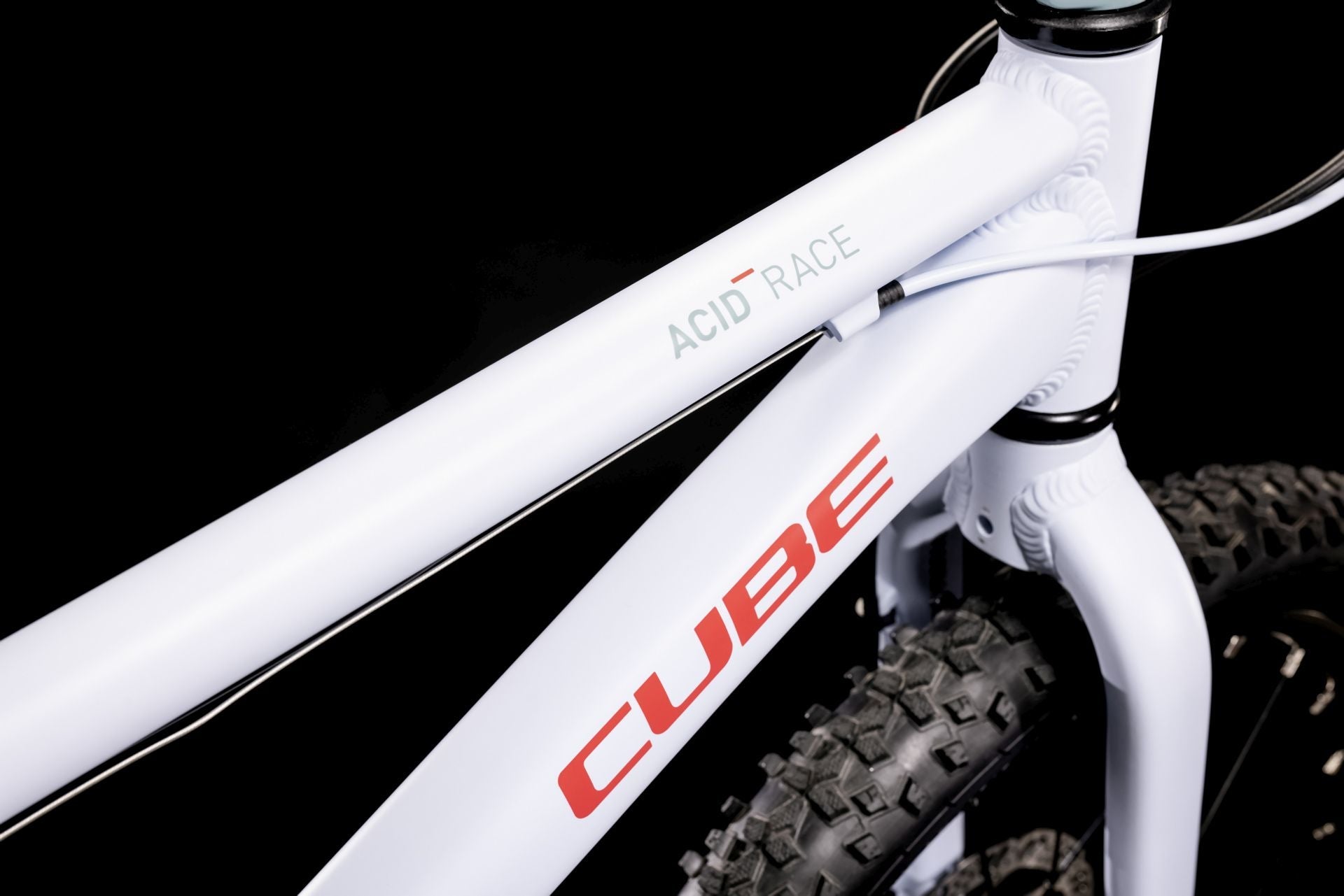 Cube Acid 200 Disc blue´n´coral