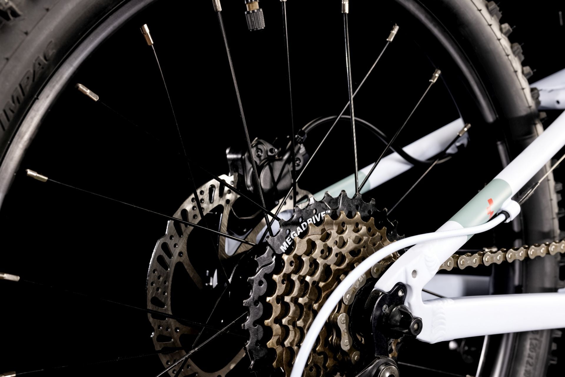 Cube Acid 200 Disc blue´n´coral