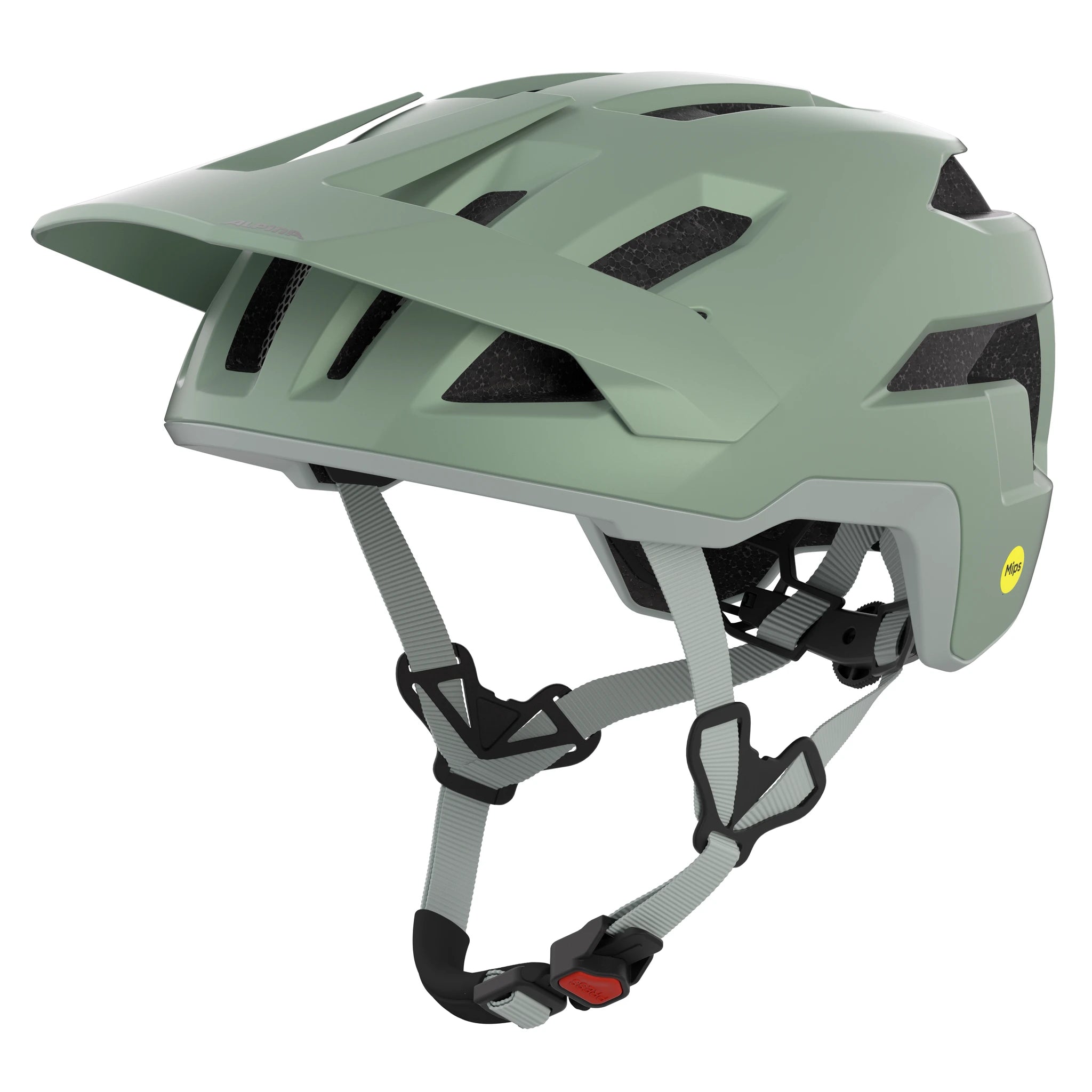 Alpina Taunus Mips - Liquid-Life #Wähle Deine Farbe_willow-green matt