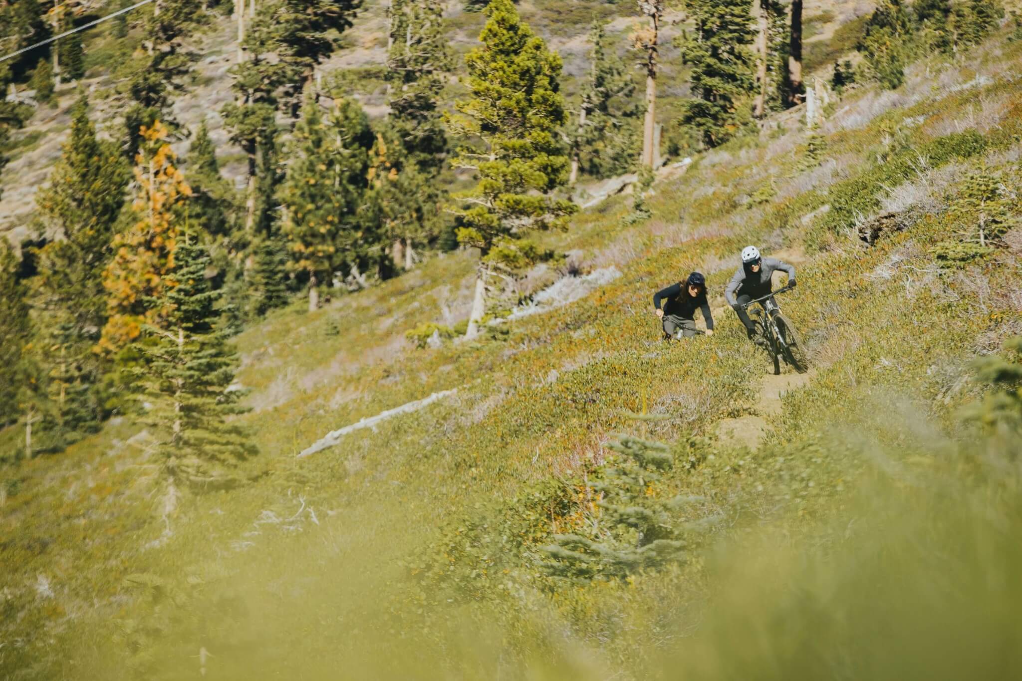 Zwei Mountainbiker auf Specialized Epic Rädern fahren einen Hügel hinunter, umgeben von Bäumen und Grün.
