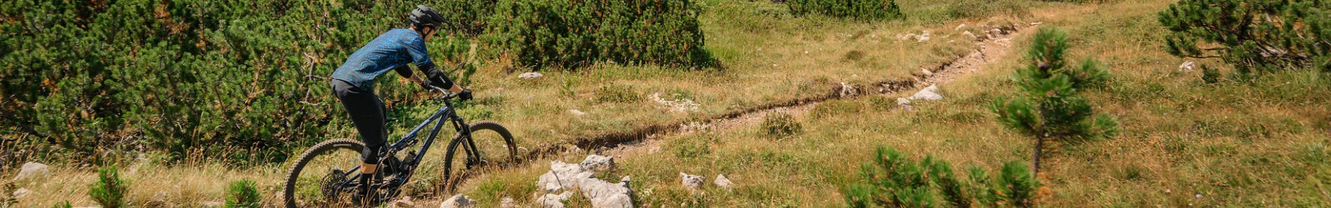 Mountainbiker fährt auf einem steinigen Pfad durch eine grüne Landschaft. Ideal für Outdoor-Abenteuer und Sportliebhaber.