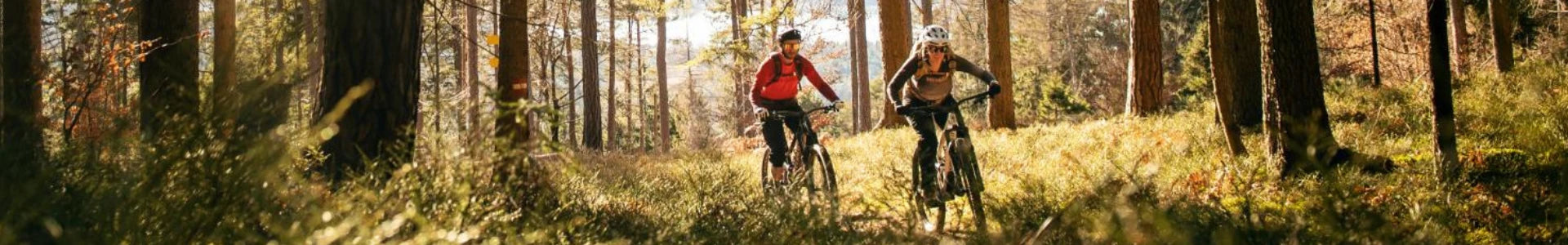 E-Mountainbike Hardtails kaufen und beraten bei Liquid-life.de