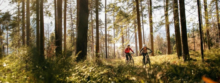 E-Mountainbike Hardtails kaufen und beraten bei Liquid-life.de