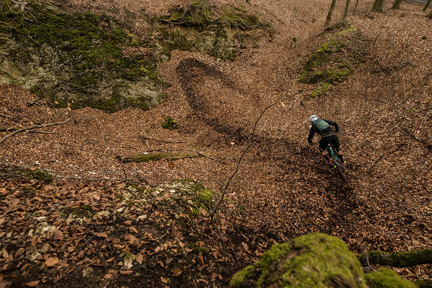 Mountainbiker fährt durch herbstlichen Laubwald mit Specialized Hardtail, geeignet für Offroad-Abenteuer und Outdoor-Enthusiasten.