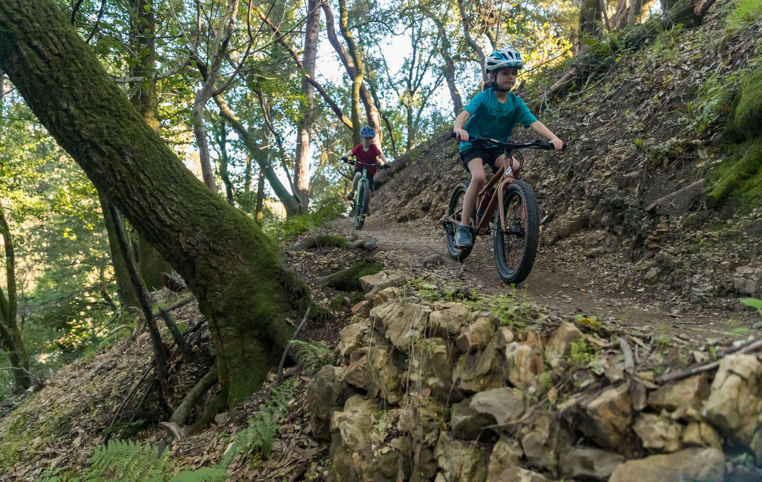 Kinder fahren mit Mountainbikes auf einem Waldweg bergab. Beide tragen Helme.