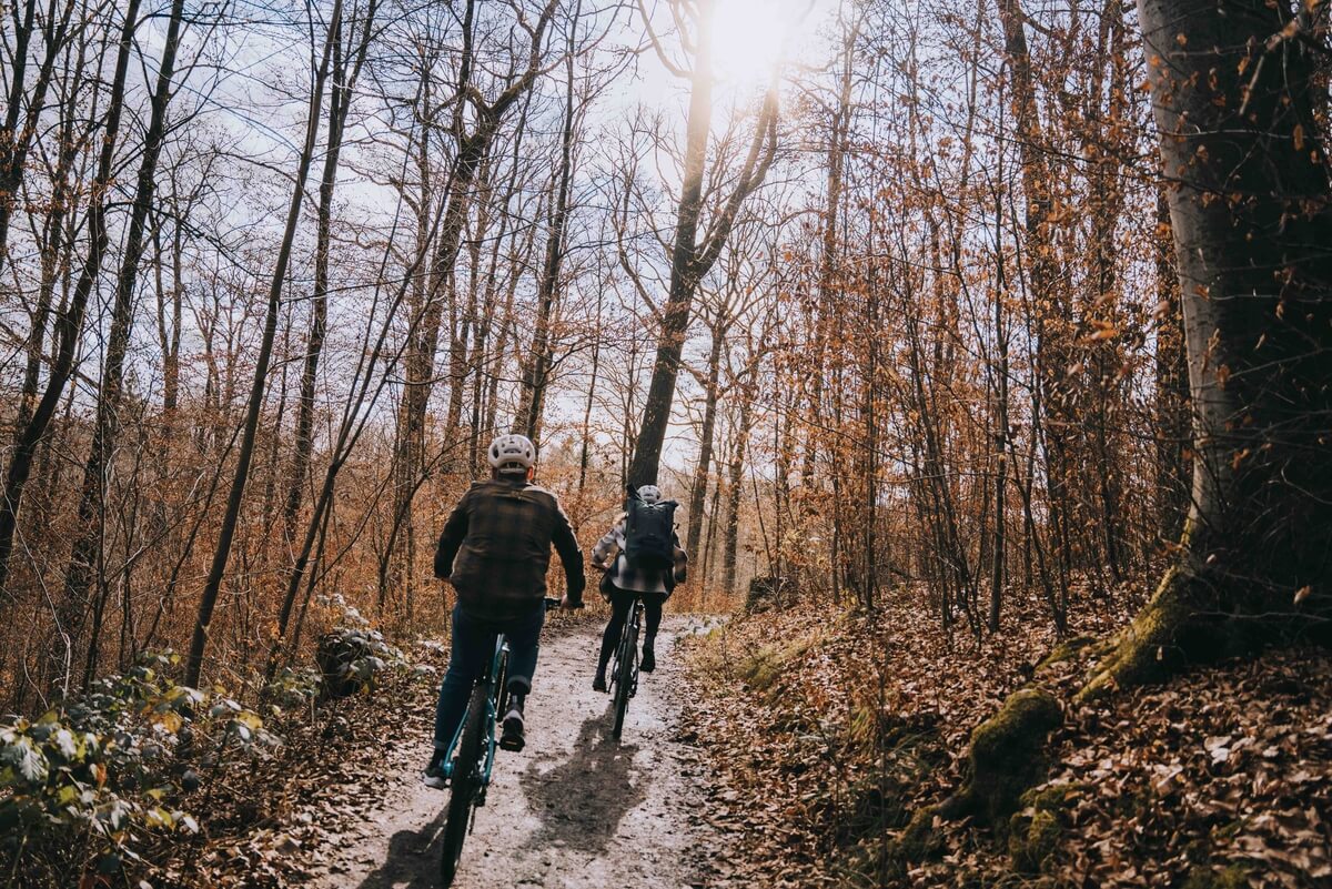 Zwei Personen fahren auf Focus Whistler Mountainbikes einen Waldweg entlang.