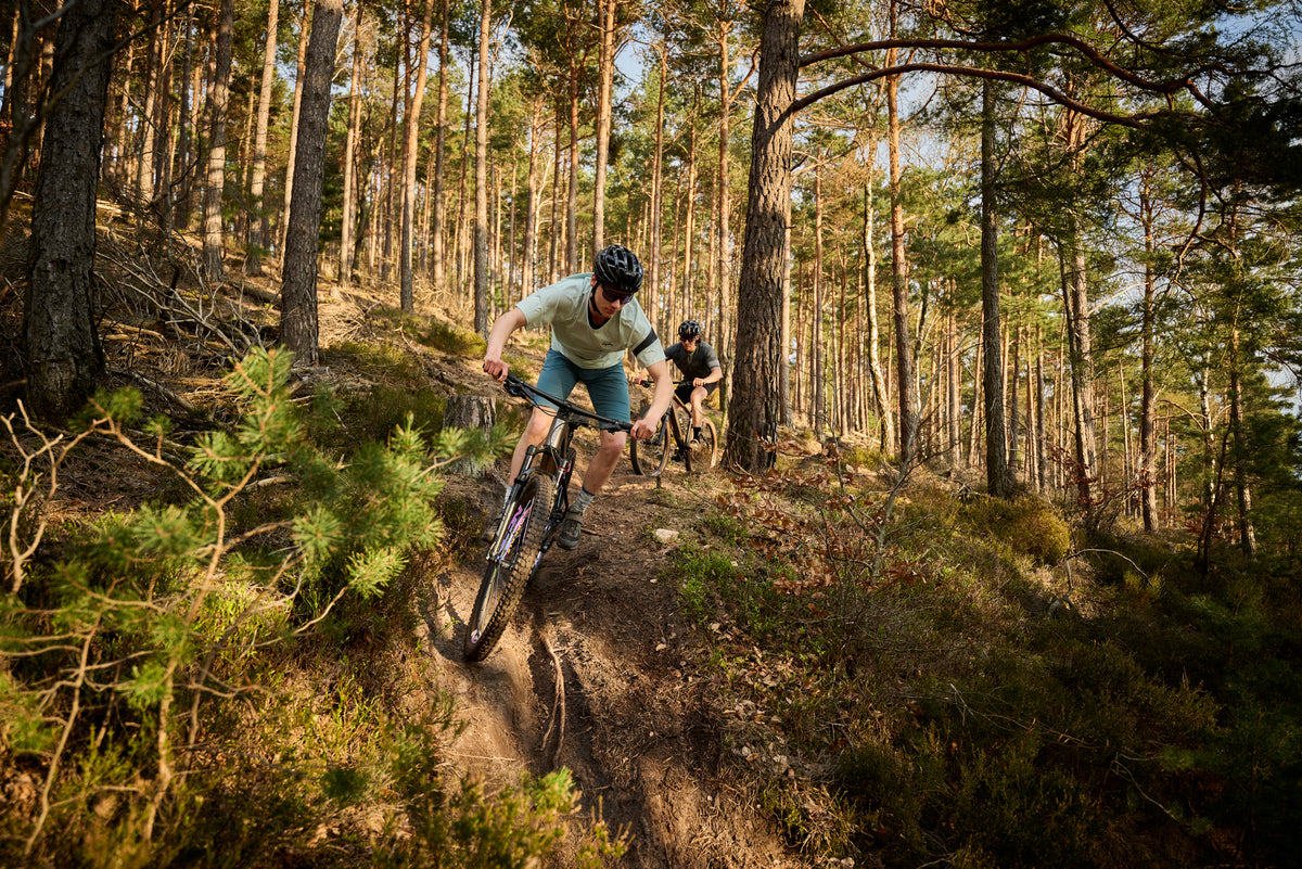Zwei Mountainbiker fahren auf einem Waldpfad bergab. Modell: Focus MTB Hardtail Raven.