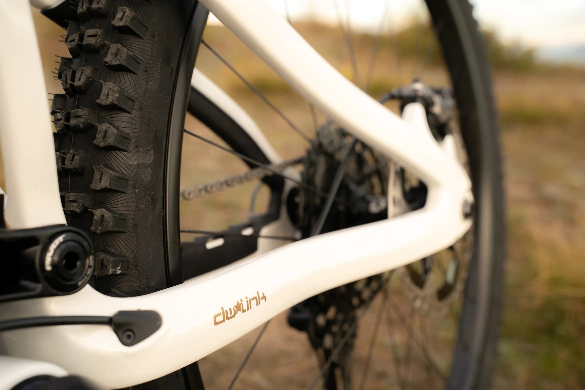 Nahaufnahme eines weißen Mountainbikes mit Profilreifen und „dw-link“-Schriftzug, geeignet für Offroad-Fahrten.