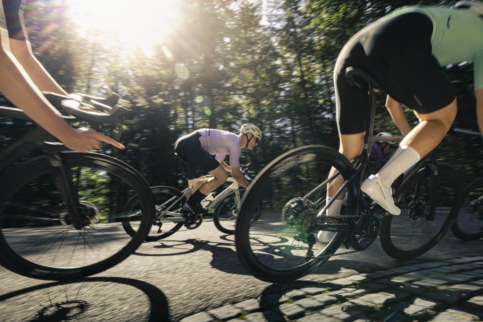 Radfahrer in Aktion auf Rennrädern, darunter Focus Izalco Max, auf einer sonnigen Straße durch den Wald.