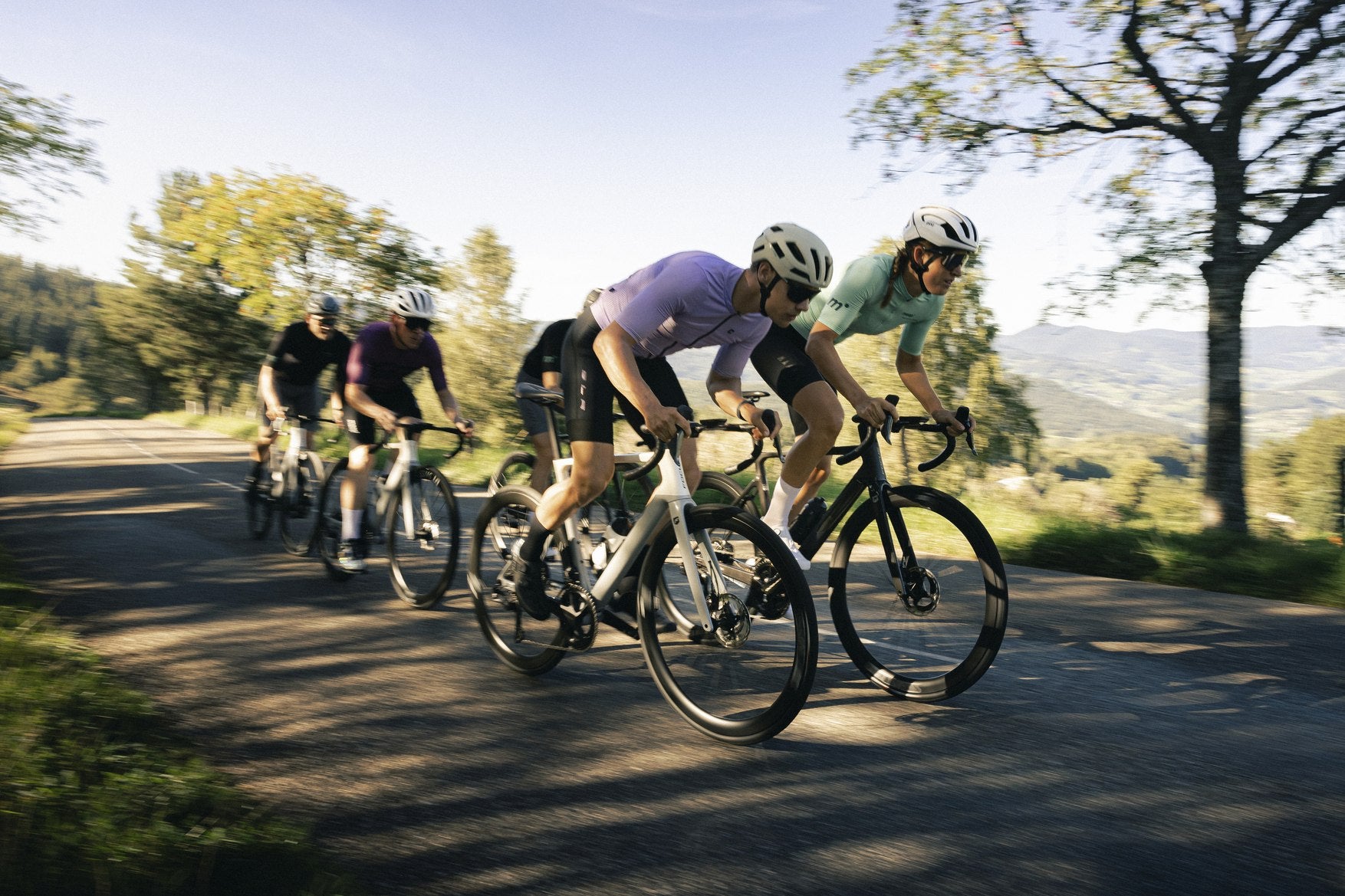Radfahrer auf einer Straße mit vier Rennrädern, darunter Focus Izalco Max, bei sonnigem Wetter und grüner Umgebung.