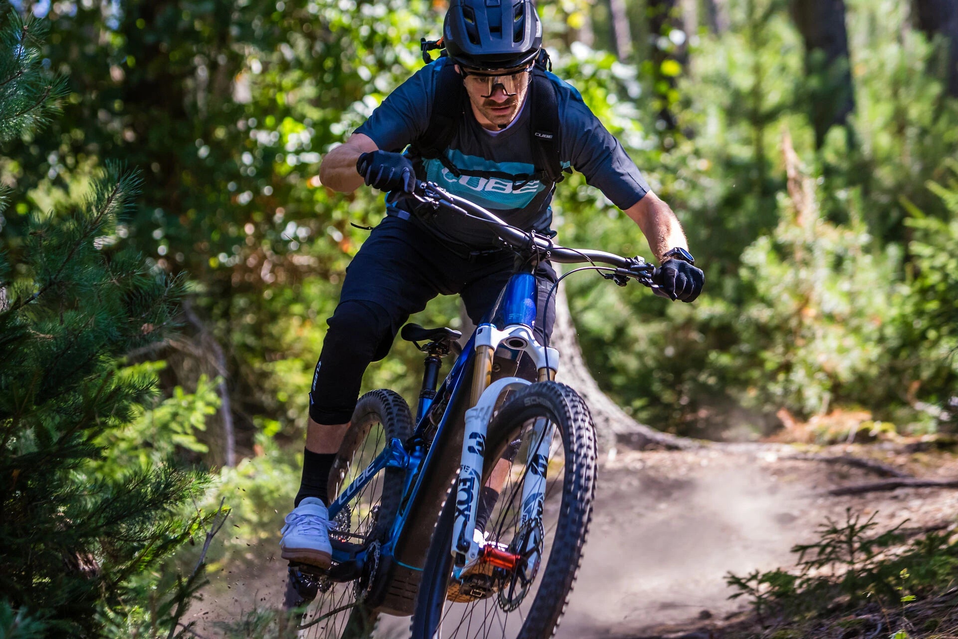 e-bike all mountain in action auf einem Trail