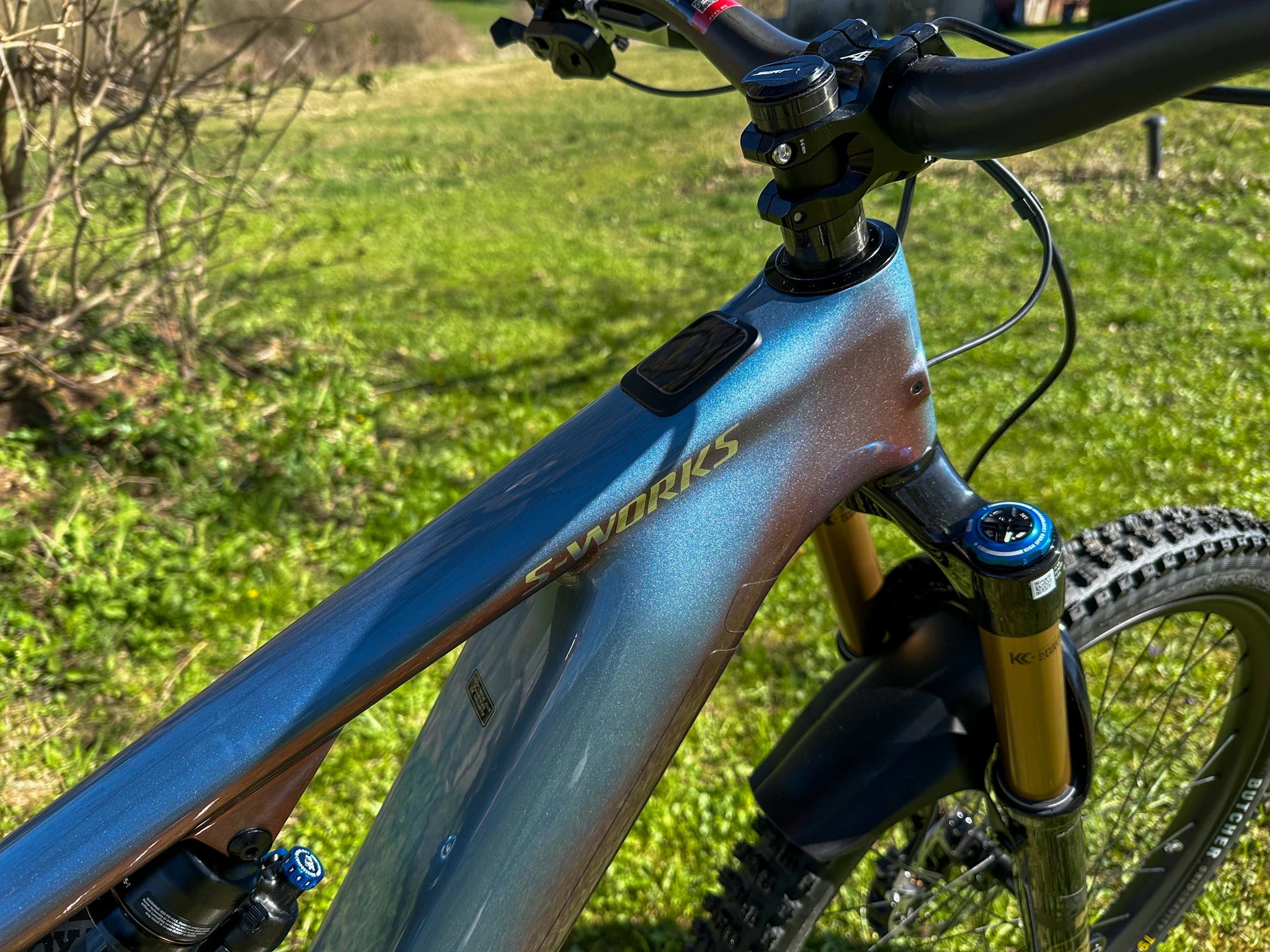 E-Bike Specialized Turbo Levo in Metallic-Finish auf Wiese, geeignet für Mountainbiken und Outdoor-Touren.