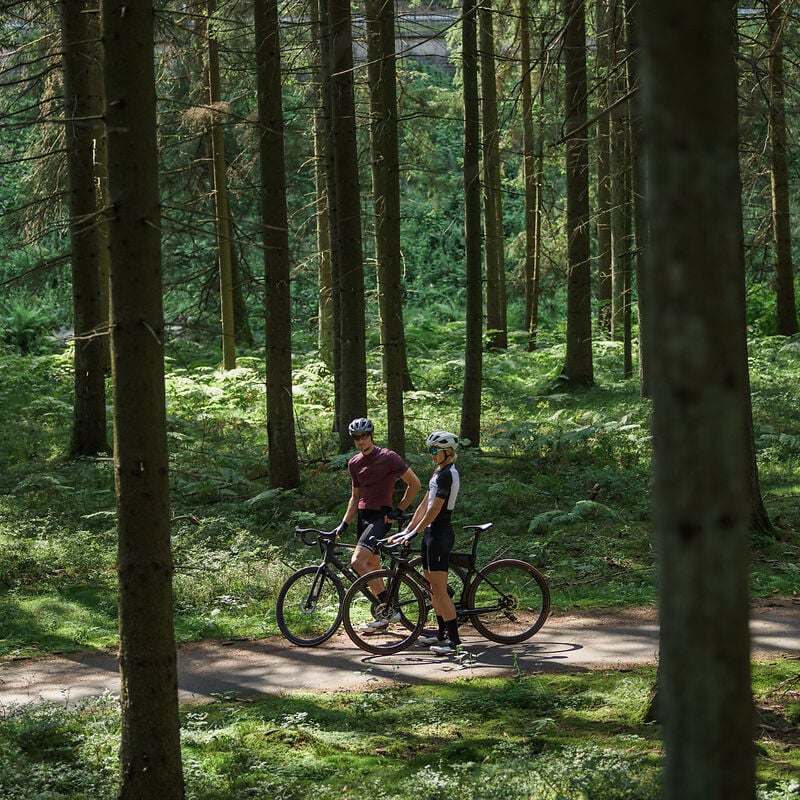 Zwei Radfahrer mit Helmen auf Carbon-Rennrädern im Wald. Modell Cube Attain, ideal für sportliche Ausflüge.