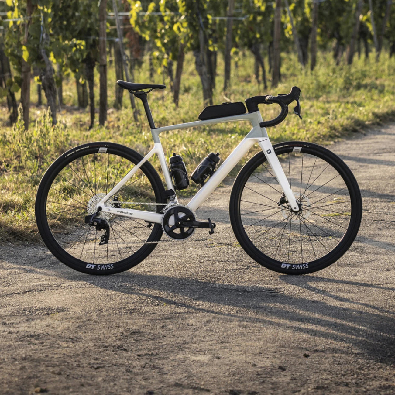 Weißes Focus Rennrad mit zwei Trinkflaschen, abgestellt auf einem Weg, im Hintergrund ein Weinberg.