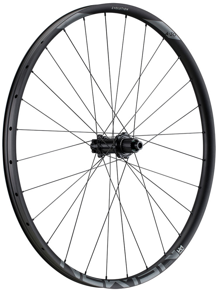 Newmen Wheel Evol. SL A.30 29 12x148 SP 6B 28h MS FADE - Liquid-Life #Wähle Deine Farbe_schwarz