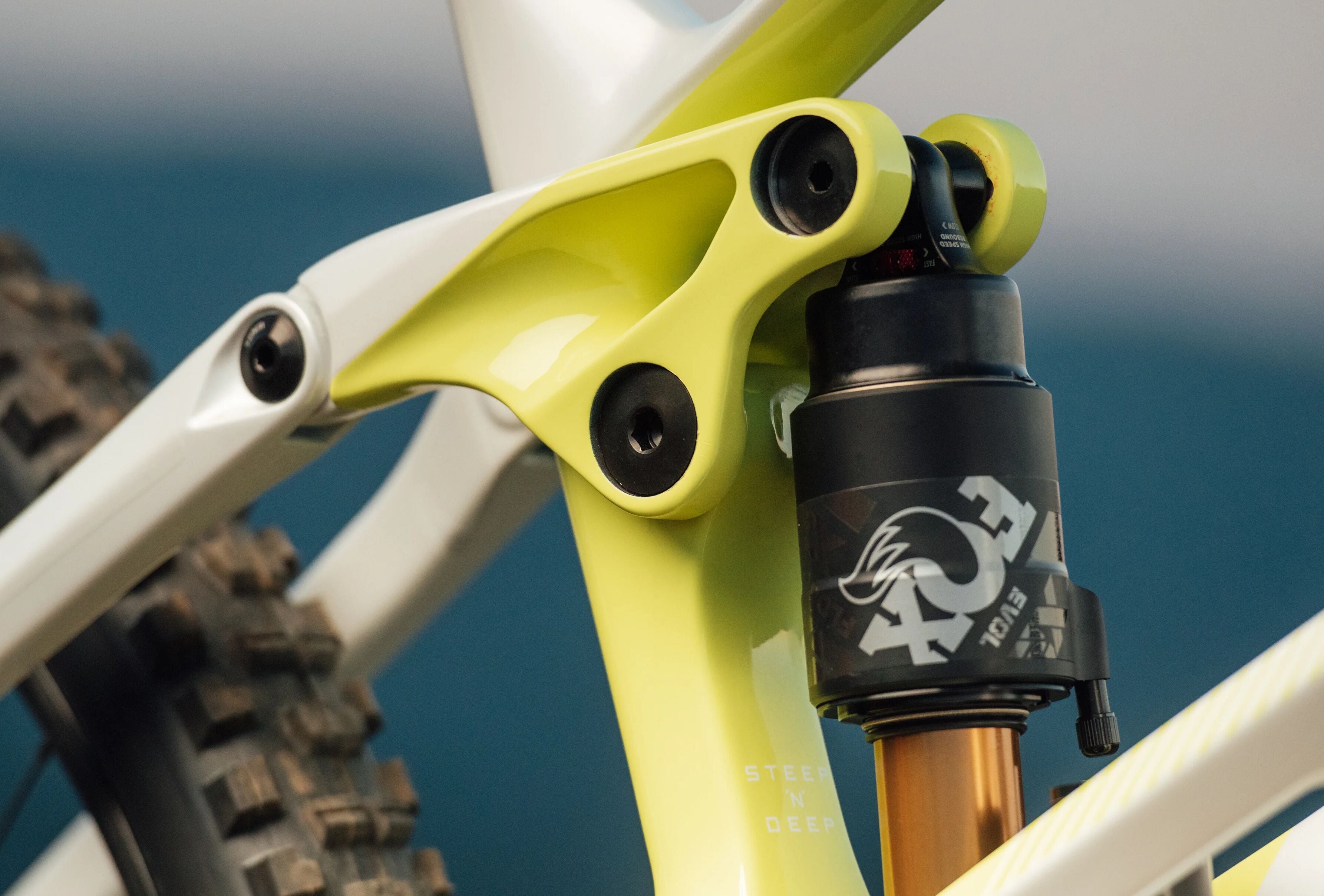 Detailansicht eines gelb-weißen Mountainbike-Federungssystems mit FOX EVOL Dämpfer, geeignet für Gelände und Mountainbiker.