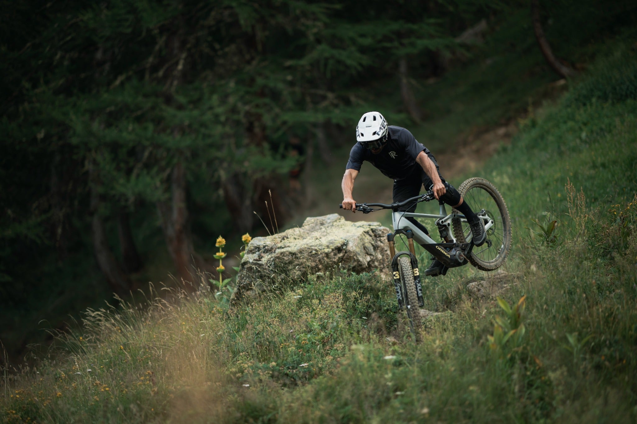 Person fährt mit Orbea Wild Mountainbike durch bewaldetes Gelände. Ideal für Mountainbiker und Sportbegeisterte.