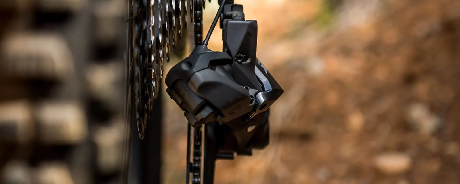 Nahaufnahme eines Shimano-Fahrrad-Schaltwerks, montiert an einer Kassette im Wald. Ideal für Mountainbiker.