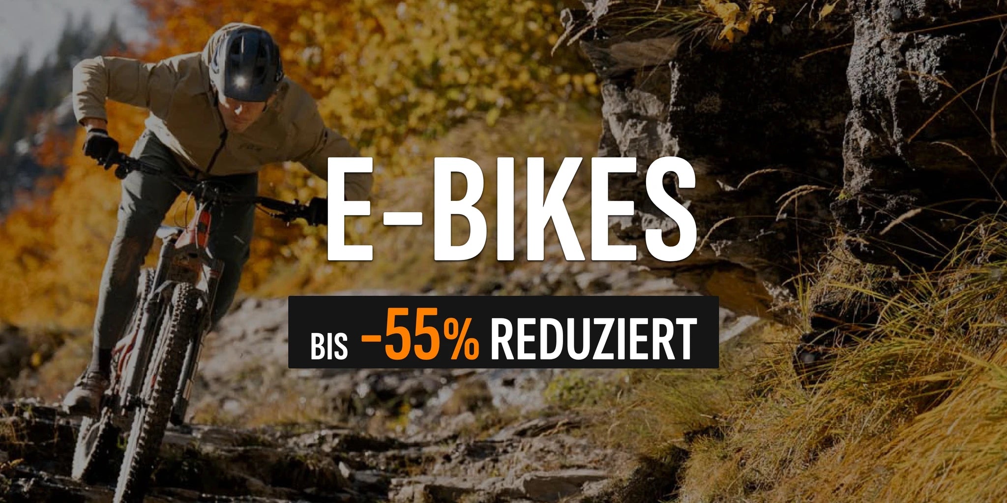 E-Bike Banner Herbstkampagne
