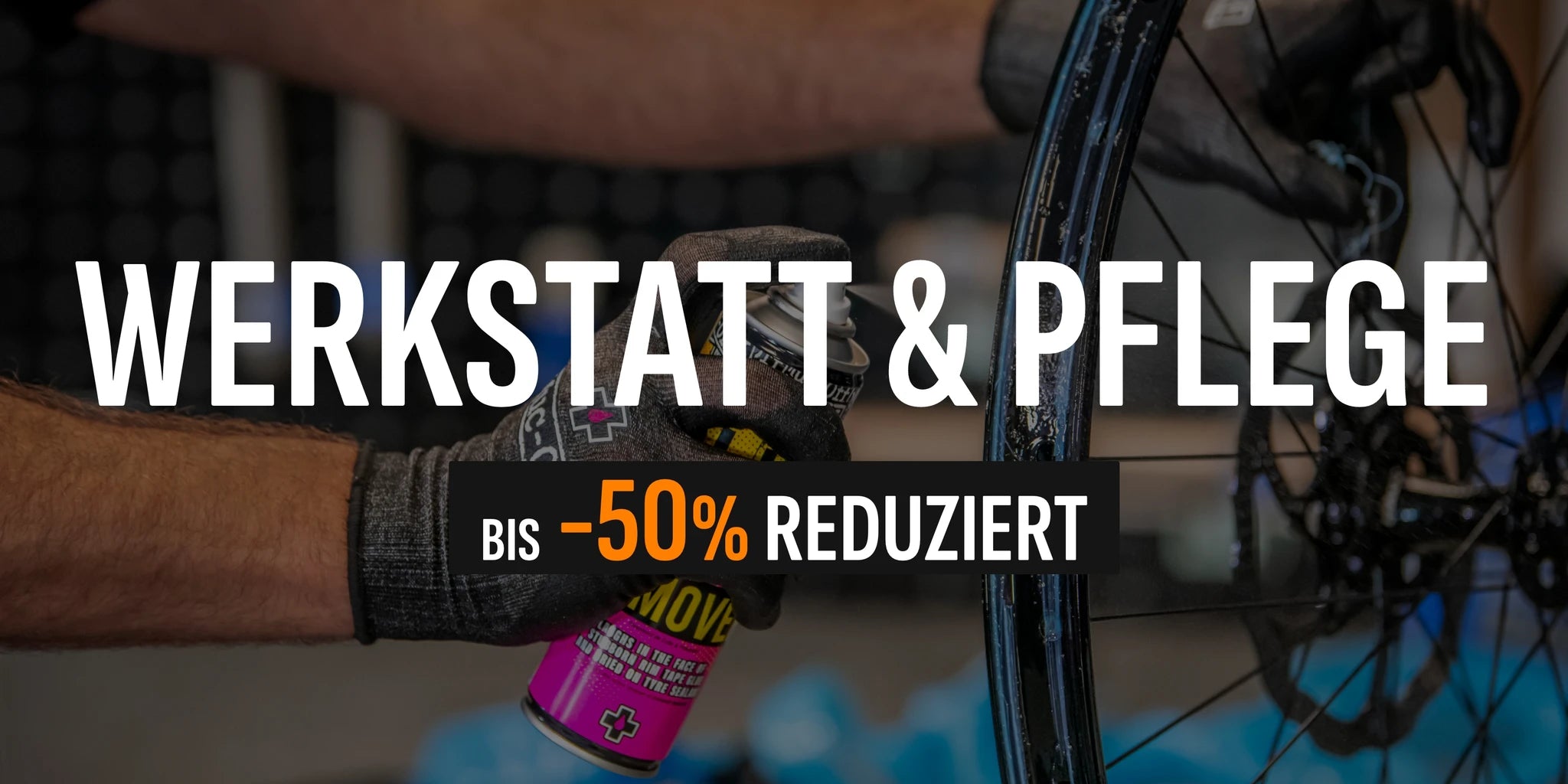 Werkstatt & Pflege Banner