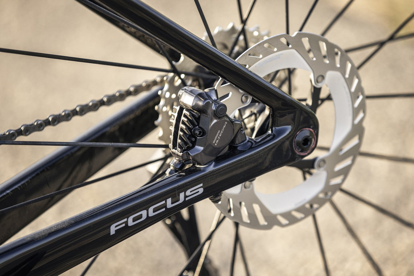 Nahaufnahme des Focus-Rennrads mit Shimano Ultegra Scheibenbremse, zeigt Details der Rad- und Bremskonstruktion.
