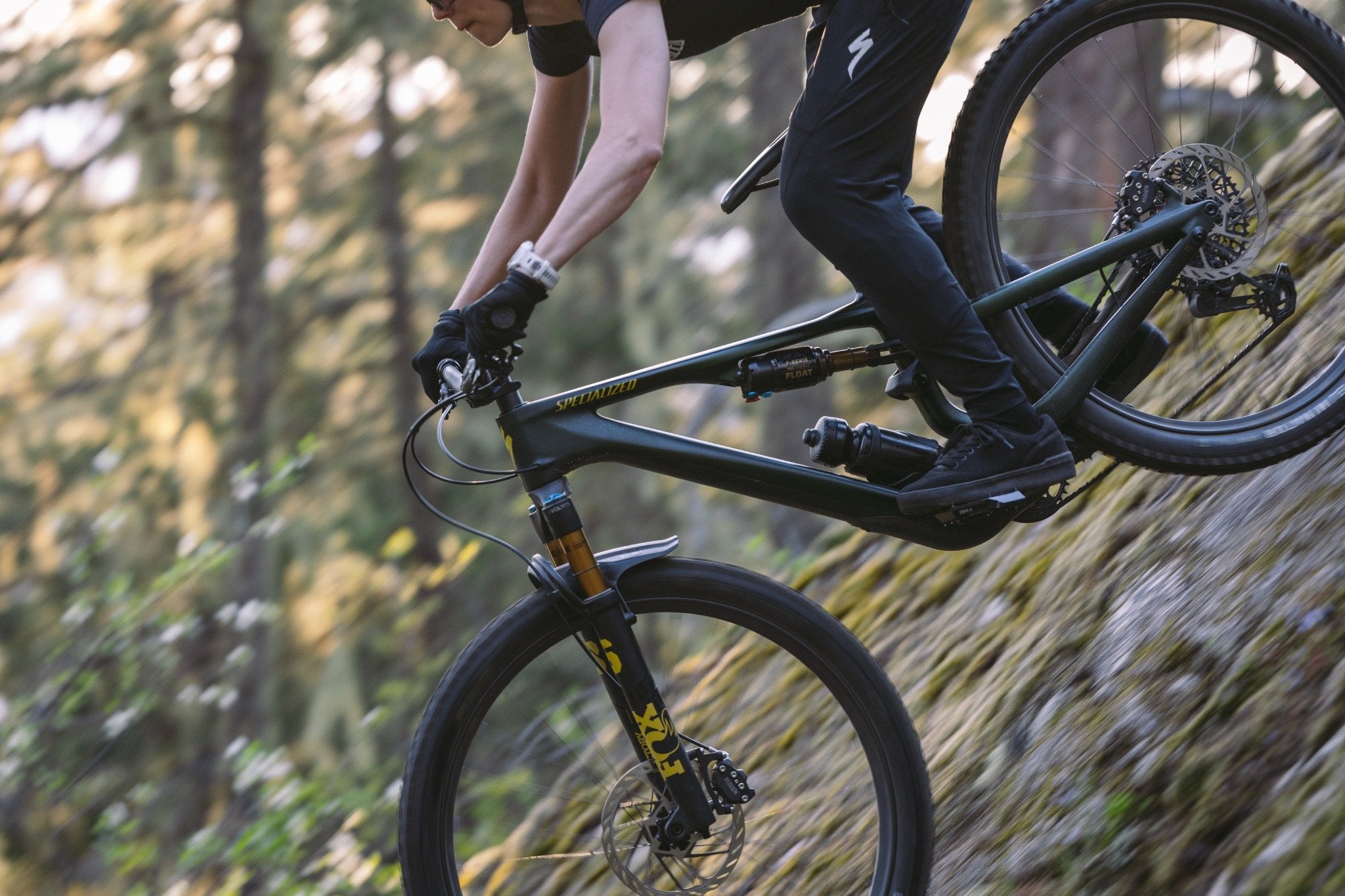 Specialized Stumpjumper Mountainbike im Wald, ideal für anspruchsvolle Abfahrten und sportliche Radfahrer.