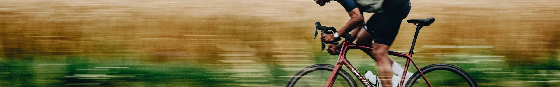 Specialized Rennrad Beratung und kaufen bei Liquid-Life.de