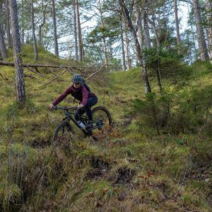 Mountainbiker mit Helm fährt durch einen Wald. Markenname und Modell nicht erkennbar. Ideal für Offroad-Abenteuer.
