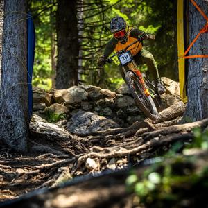 Mountainbiker auf steinigem Waldweg bei Rennen, trägt Helm und Schutzkleidung. Cube Two15 Modellname zu erahnen.