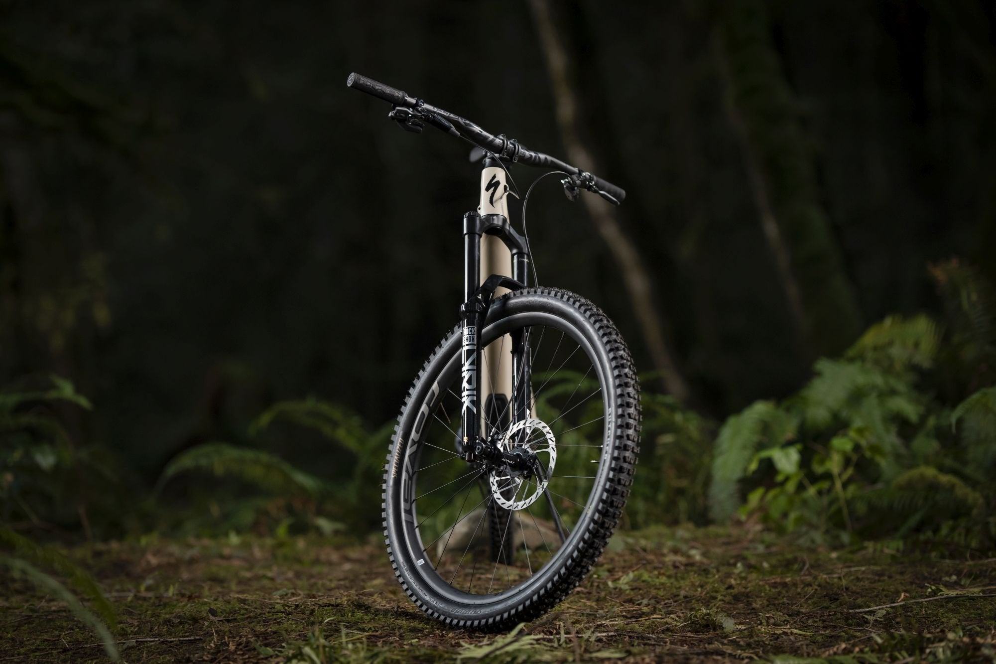 RockShox Lyrik Ultimate RC2 29" 2023 - Liquid-Life