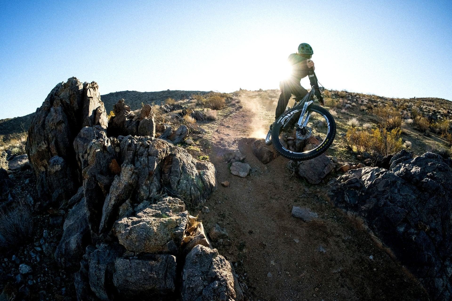 RockShox Pike Ultimate 29" 2023 - Liquid-Life #Wähle Deine Farbe_silber