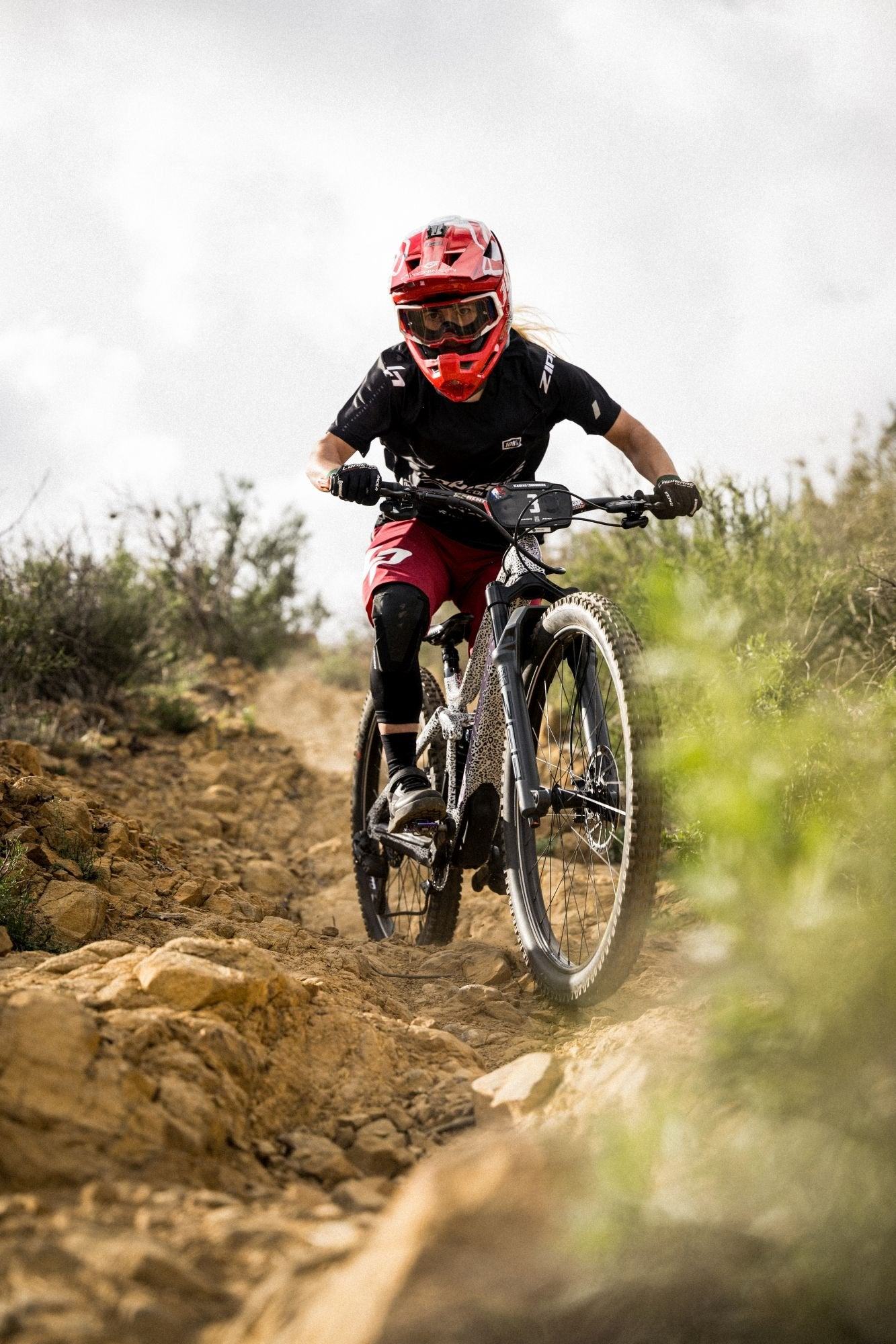 RockShox ZEB Ultimate 29" 2023 - Liquid-Life #Wähle Deine Farbe_grau